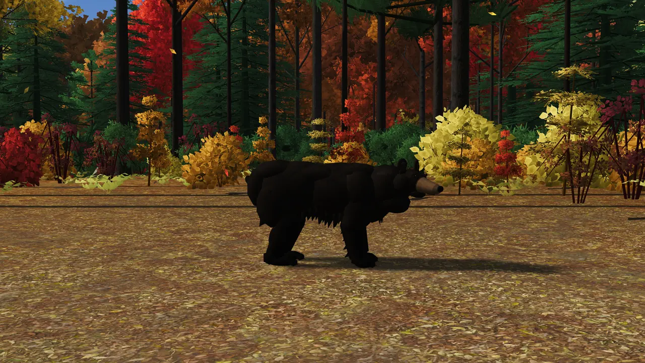 A black bear on the leaf litter in a fall glade