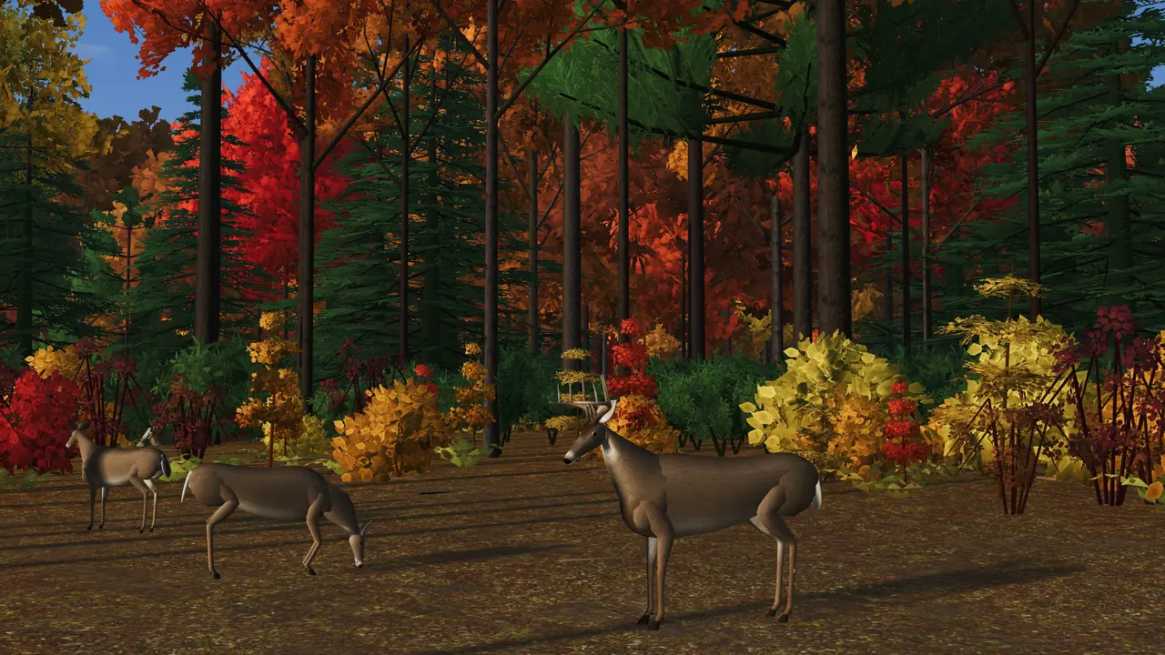 A 10-point whitetail buck and three does in a maple and hemlock glade in fall