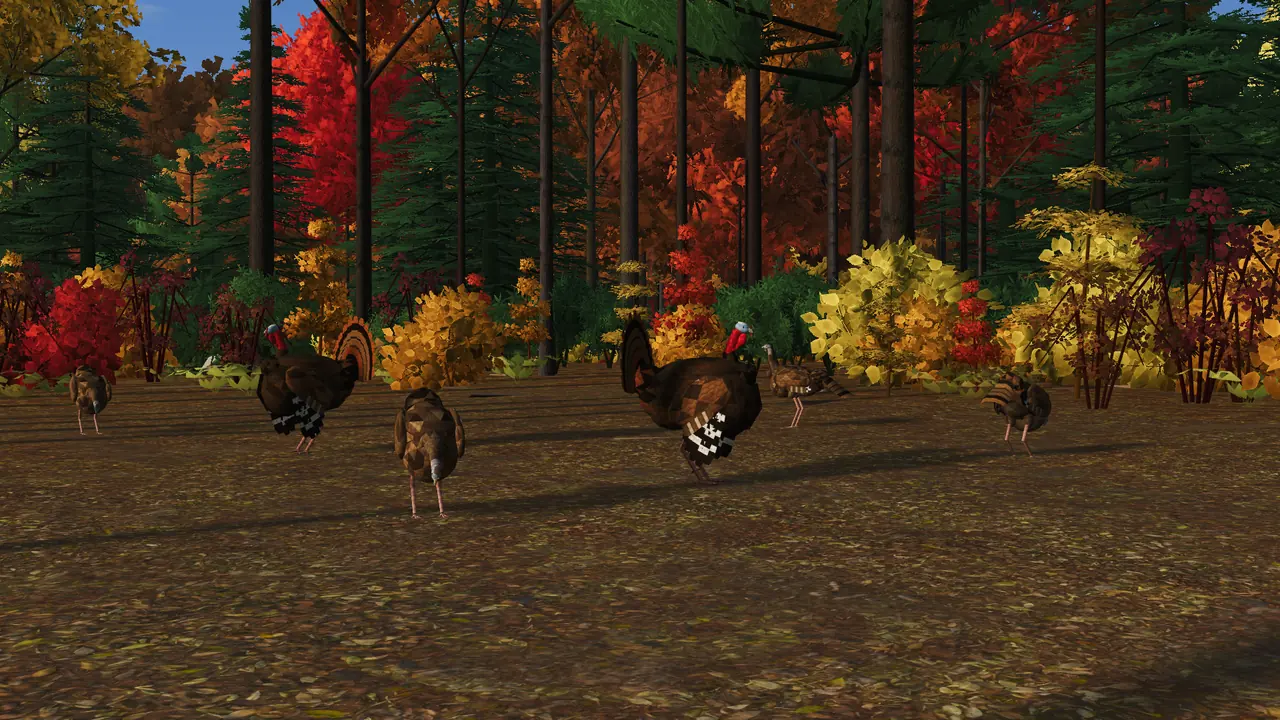 A flock of wild turkeys on the leaf litter, two toms strutting